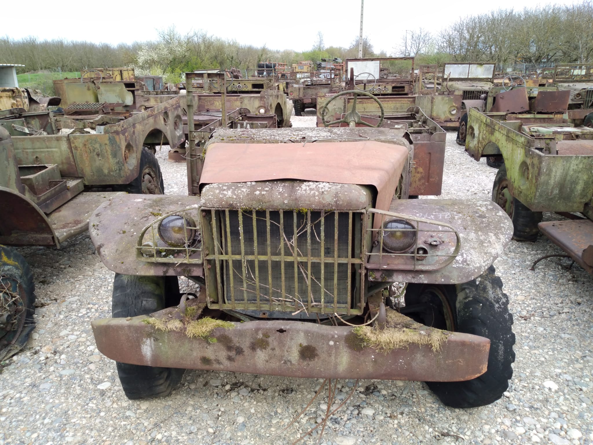 DODGE WC 51